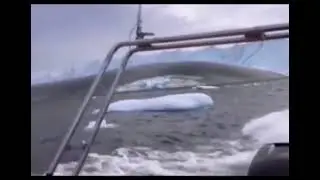 Gigantic Creature Rises From Water #Shorts