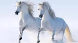 Horse neighing sound effect 16 Horse Neigh, Snort and Gallop Sound Effects [High Quality]