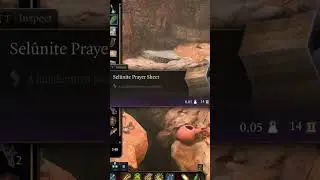 How to open the Selunite Chest in the Owlbear Cave