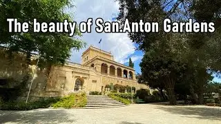 San Anton Sun to Water 11th August 2022