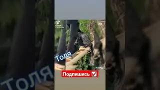 Толя Спаситель 🤣🤣🤣🤣#мемасики#мемы#мем#прикол#орунемогу#цешо#юмор#шутки#смех#видос#тикток#жиза#mem