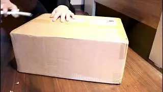 Mein neues Breyer ist endlich da :D + Info!!