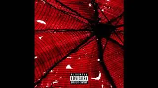 Casey Burns - gash