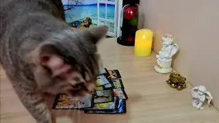 😪ЧТО ЕГО ПЕЧАЛИТ❓️РАЗГОВОР С ЕГО ДУШОЙ❗️👄