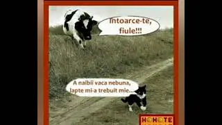 Poze amuzante!