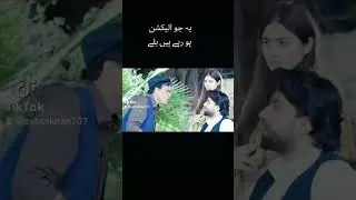 یہ جو الیکشن ہو رہے ہیں بلے