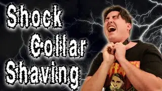 Shock Collar Shaving