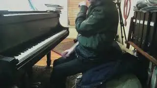 (HD) Exploring arm weight in piano playing