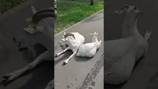 Бутово,наши дни