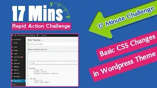 Basic CSS changes for Theme [Rapid Action Challenge]