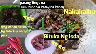 Bituka Ng Isda At Gulay Na Tumutubo Sa Patay Na Kahoy Gawin Nating Masarap | EXOTIC FOOD