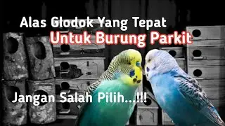 Ternak Parkit...!!! Alas Glodok Yg tepat untuk Burung Parkit sesuai Jenis Glodoknya