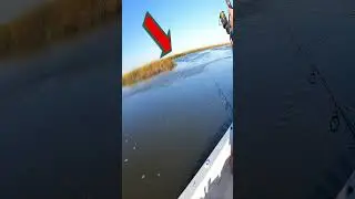 How To Target Points For Winter White Perch! 
