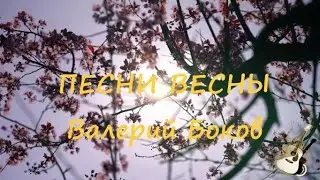 ПЕСНИ ВЕСНЫ Валерий Боков 💖🎸🌷⛵