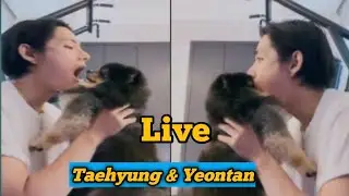 Taehyung [Live Weverse] Bersama Yeontan.03-10-2023