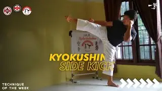 TIPS TENDANGAN YOKO GERI (SIDE KICK) | Kyokushin Tutorial