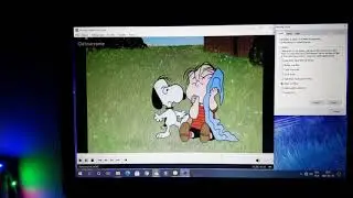 Snoopy fights Linus has BSOD