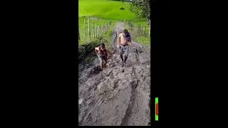 Minha primeira trilha de bicicleta deu tudo errado kkk