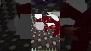 Warden vs Wither, who will win? #shorts