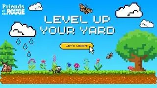 Level Up Your Yard For Your Local Rivers!