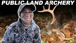 PA Big Woods Deer Hunting * PUBLIC LAND SUCCESS *