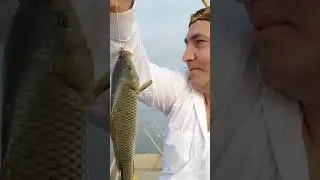Sari su ovumuz