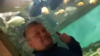 Океанариум
