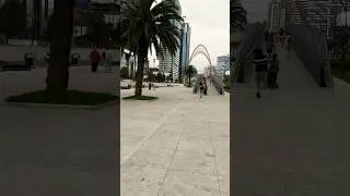 Прогулка по #batumi #georgia #travel #прогулкассобакой #beach #ретривер #shorts