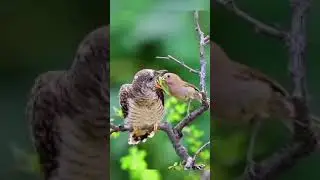 معجزة الله ❤❤❤
