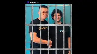 CZ: a queda do Maxipicareta