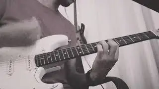 Tagima T635 Classic Series | That’s What I Like - Bruno Mars