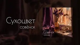 Совёнок - Сухоцвет