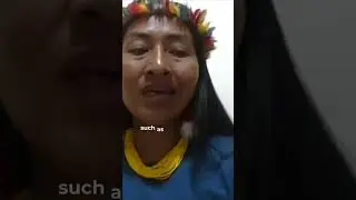 Celebrating #WorldRainforestDay with a Powerful Voice!
