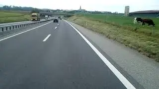 Не лёгкая работа в Швейцарии... ))