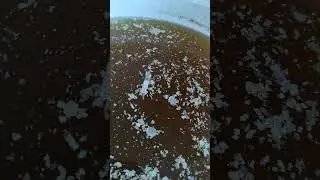 Сколько оборотов в медовухи после двух месяцев брожения?