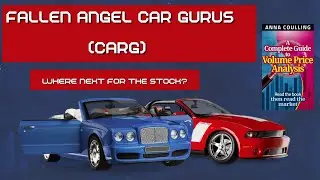 Fallen Angel Car Gurus taking flight