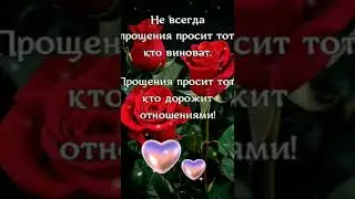 Вот как бывает в жизни