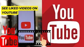 How to See Liked Videos on YouTube in 2024
