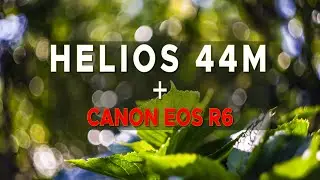 SAMPLE OF VINTAGE BOKEH SWIRLS WITH HELIOS 44M 58mm f2 LENS & CANON R6