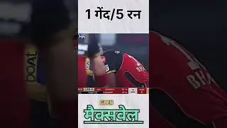 #cricket