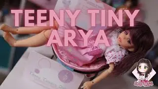 Teeny Tiny Arya (Teeny Tinkers) Kit Review and Build!
