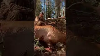 This is a program designed around be durable and strong while always being ready to go into the mtns