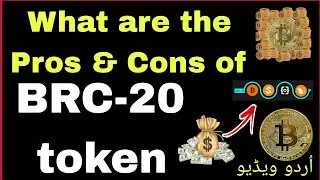 What are the Pros & Cons of Brc-20 token