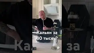 ДУША ХРАНИТЕЛЯ ЛЕСА - КАЛЬЯН ЗА 80 ТЫСЯЧ?! #hookah #кальяны #обзоркальяна