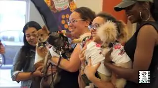 A Look Back at Canine Film Festival 2019