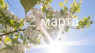 2 марта 2022