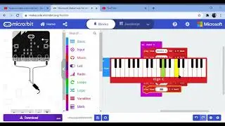 Micro bit alarm