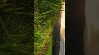Невероятно красивая закат на природе 