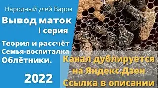 Народный улей Варрэ. Вывод маток. 1 серия | Теория, рассчет, облётники, заселение