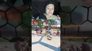 Mantis Gets Schooled By Assistant Manager